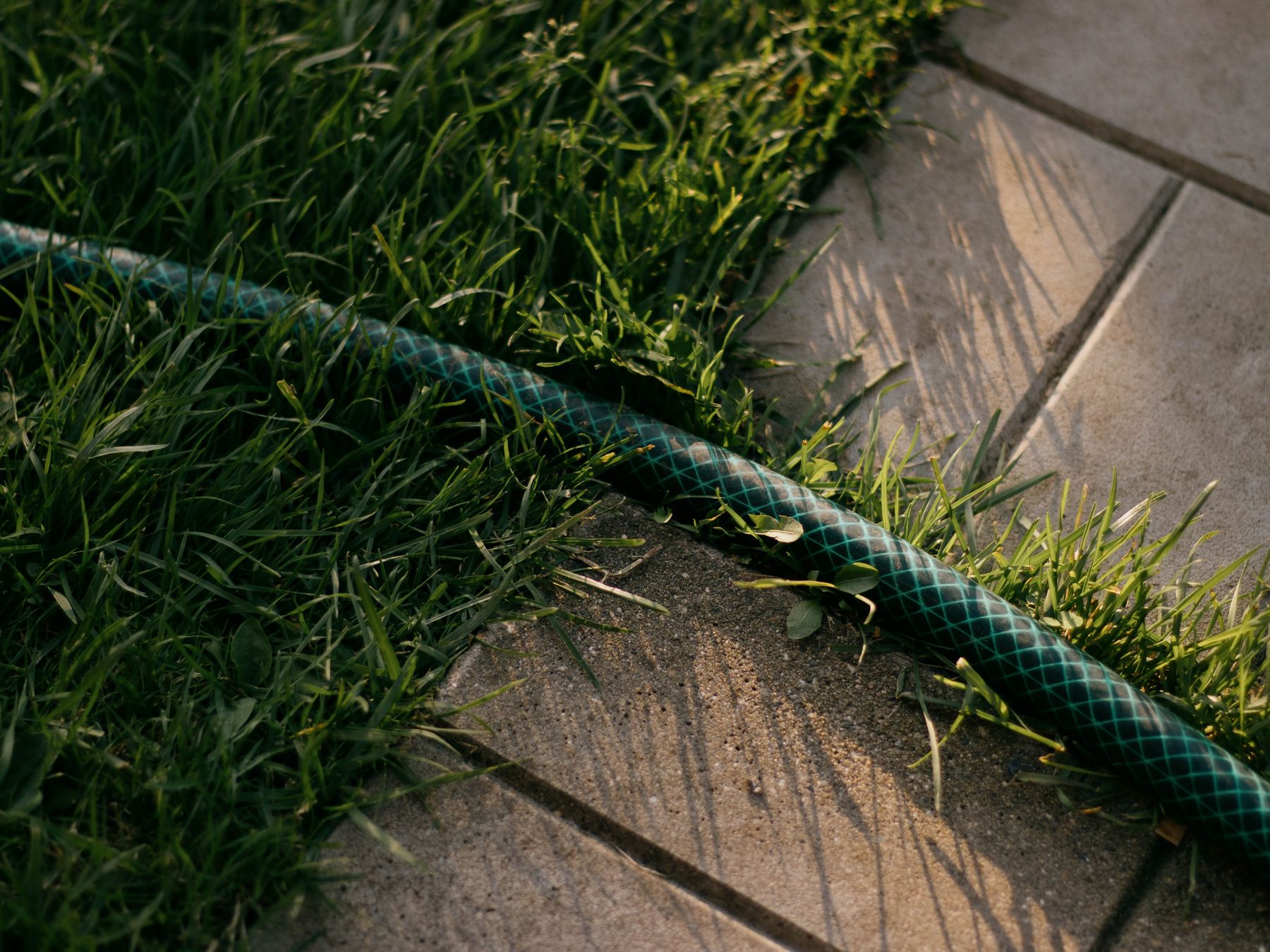 Garden hose on a lawn edge